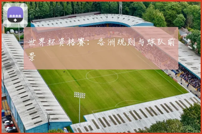世界杯资格赛：各洲规则与球队前景